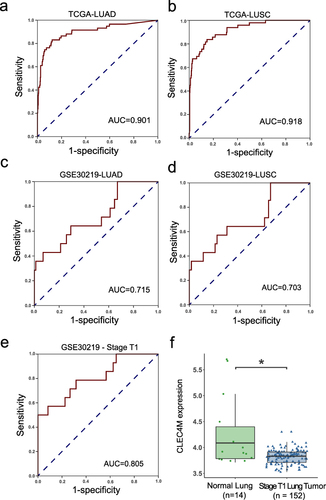 Figure 2 Diagnostic value of CLEC4M in NSCLC. (a and b) ROC curves of LUAD and LUSC patients in TCGA. (c and d) ROC curves of LUAD and LUSC patients in GSE30219. (e) ROC curves of all stage T1 patients in GSE30219. (f) CLEC4M expression between non-tumor and stage T1 NSCLC tumor tissue of GSE30219. *p value <0.05.