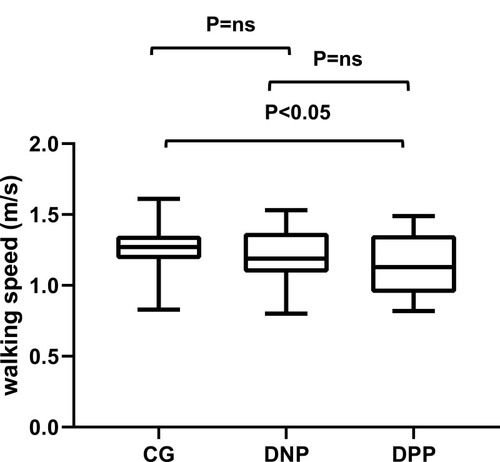 Figure 4 Mean of walking speed (m/s) in different groups.