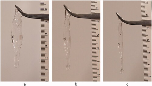 Figure 2. Images of excised porcine vitreous humor suspended from forceps at 0 minutes (a), 60 minutes (b), and 120 minutes (c) post-excision. This vitreous sample remained suspended in ambient air between images. Note the liquid droplet and network collapse at later time points.
