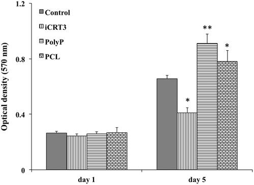 Figure 3. The viability of isolated stem cells at 1 and 5 d while cultured under basal medium as a control, iCRT3, inorganic polyphosphate and on PCL nanofibrous scaffold. The significant differences (p<.05) and (p<.01) between groups are indicated with star sign and two-star sign, respectively.