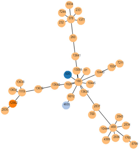Figure 4 The goeBURST analysis of serotype 3. PHYLOViZ was used to identify the relationship of clonal complexes (CCs) of serotype 3 globally. Each node represents a ST. STs found in Shenzhen are colored with dark blue (ST 505), sky blue (ST 4655) and orange (ST 12902), respectively. STs colored with yellow are from foreign countries.