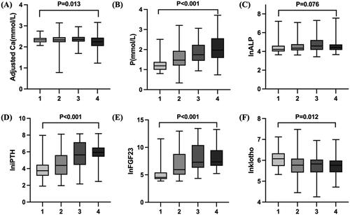 Figure 2. Baseline blood bone metabolism indices in different subgroups of CKD patients. The CKD patients were divided into four subgroups according to the tertiles of hemoglobin levels: 1: no anemia(male: Hb ≥ 130g/L; female: Hb ≥ 120g/L, n = 38), 2: mild anemia(male: 102 ≤ Hb < 130g/L; female: 102 ≤ Hb < 120g/L, n = 70), 3: moderate anemia(83 ≤ Hb < 102g/L, n = 68), 4: severe anemia(30 ≤ Hb < 83g/L, n = 63). P: analysis of variance of 4 subgroups in CKD patients. Abbreviations: Ca: calcium; P: phosphorus; ALP: alkaline phosphatase; iPTH: intact parathyroid hormone; FGF23: fibroblast growth factor 23.