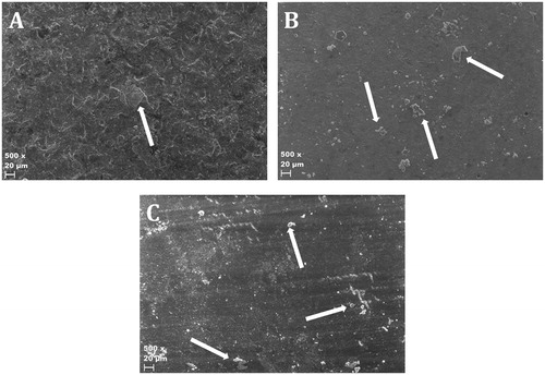 Figure 2. Scanning electron microscope images illustrating the topography of the surface. A = Control (IPS e.Max Press). B = Whitepeaks CopraSmile. C = Zirkonzahn Prettau Anterior. Debris on the surface is remnants of the cement. Arrows indicate examples of debris.
