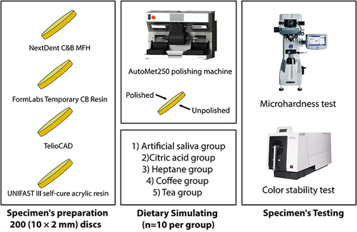 Figure 1 Summary of the specimen preparation and study protocol.