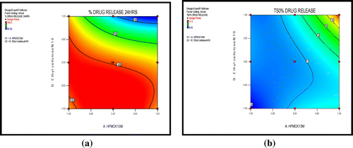 Figure 4. Contour plot showing the relationship between various levels of polymers (HPMCK 15M) and Ethyl cellulose on % drug release in (a) 24 h and (b) T50%.