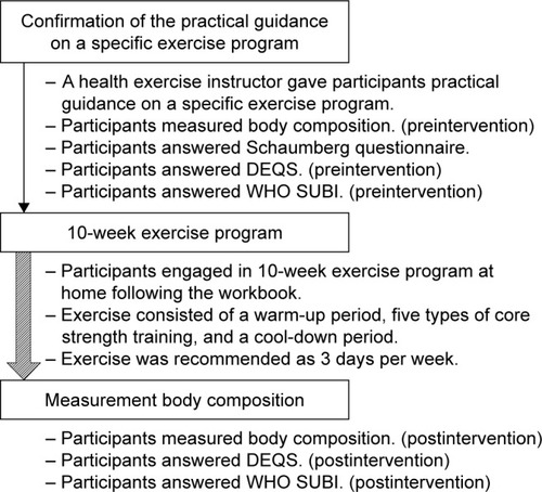 Figure 1 Protocol in this study.