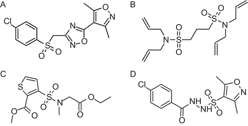 Figure 6.  2D representation of the database hit compounds: (A) SEW00846, (B) NCI0040784, (C) GK03167, and (D) CD10645.