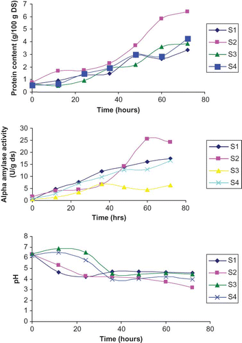 Figure 3 Change of protein content, α-amylase activity and pH with time. S1: Rhizopus oryzae (TISTR 3052); S2: Rhizopus oryzae (TISTR 3058); S3: Rhizopus delemar (TISTR 3534); and S4: Rhizpus delemar (TISTR 3190). (Figure provided in color online.)