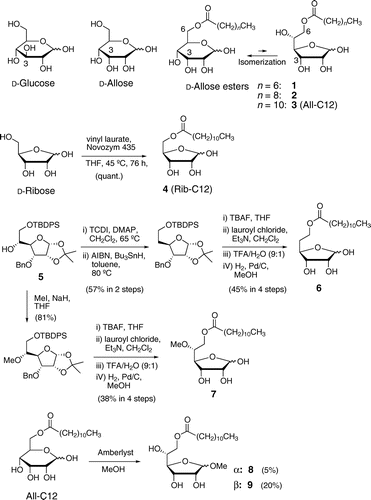 Fig. 1. Structures of d-glucose, d-allose, and 6-O-acyl-d-alloses (1–3), and synthetic schemes for 5-O-dodecanoyl-d-ribose (4), 6-O-dodecanoyl-5-deoxy-d-allose (6), 6-O-dodecanoyl-5-O-methyl-d-allose (7), methyl 6-O-dodecanoyl-α-d-allofuranoside (8), and methyl 6-O-dodecanoyl-β-d-allofuranoside (9).Notes: TCDI, 1,1′-thiocarbonyldiimidazole.