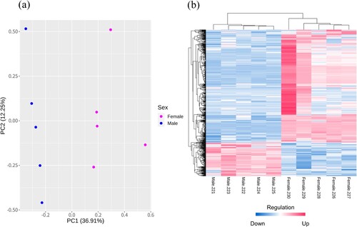 Figure 1. (a) Principal component analysis between Male and Female groups, (b) Heatmap showing the detected DEGs and samples, the magenta and blue colors indicated up-regulated and down-regulated genes, respectively.