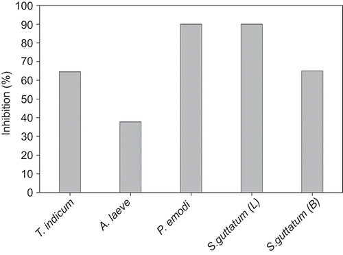 Figure 2.  In vitro lipoxygenase inhibitory effects of the extracts from the selected medicinal plants.