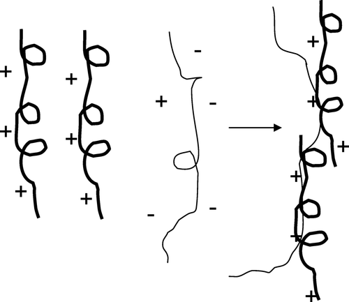 Figura 2. Representación esquemática de la floculación (modificado de Colic et al., Citation2007). Figura 2. Schematic representation of flocculation (modified from Colic et al., Citation2007).