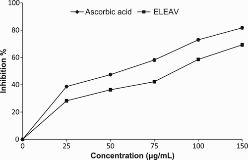 Figure 1. 1,1-Diphenyl-2-picrylhydrazyl (DPPH) radical scavenging activity of ethanolic leaf extract of Adhatoda vasica (ELEAV) and standard antioxidant compound, ascorbic acid.