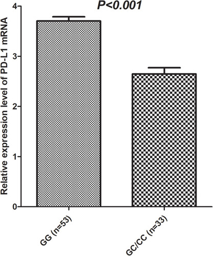 Figure 5 Relative expression level of PDL1 mRNA according to PDL1rs822336genotype status.