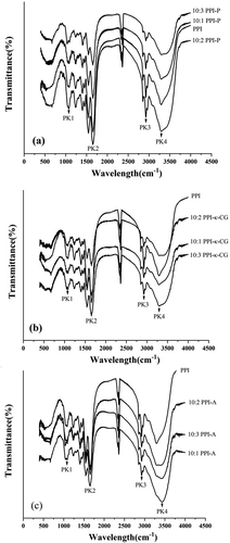 Figure 6. FT-IR spectroscopy of PPI, PPI-P (a), PPI-κ-CG (b) and PPI-A (c) complexes with different mixing ratios.