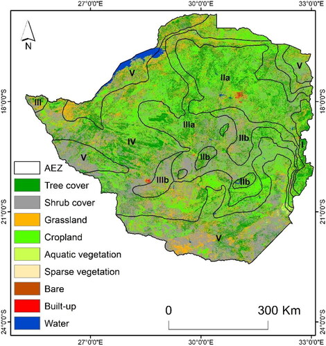 Figure 1. Agroecological regions of Zimbabwe (Vincent and Thomas, 1961) overlaid on Sentinel 2016 landcover map (European Space Agency, Citation2016)