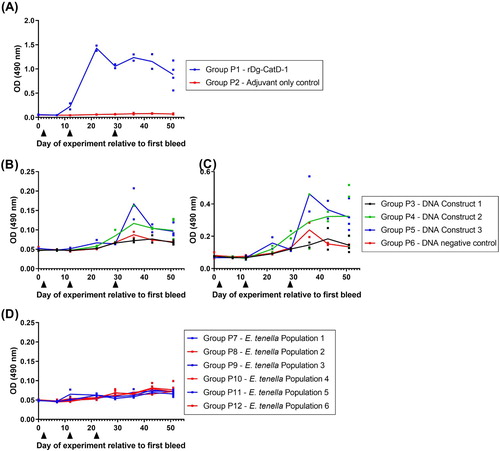 Figure 4. Comparative analysis of serum anti-Dg-CatD-1 IgY levels during the pilot vaccine trial. Comparative ELISA showing levels of circulating anti-Dg-CatD-1 IgY antibodies in chicken sera after delivery of Dg-CatD-1 antigen by: (A) recombinant protein vaccination; (B) and (C) DNA vaccination; and (D) transgenic Eimeria. Black triangles indicate time points for either rDg-CatD-1 protein vaccination, Dg-CatD-1 DNA vaccination, or transgenic Dg-CatD-1 Eimeria challenge. Sera in panels (A), (B) and (D) were used at 1/1600; serum in panel (C) was used at 1/200. Individual data points are shown for each replicate sample. At each time point n = 2, except day 51 where n = 4. Connecting line represents mean value at each time point.