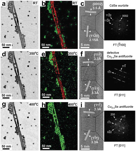 Figure 11. ZL images, corresponding EFTEM elemental maps (Cu and Cd are indicated in green and red, respectively) and HRTEM images of Cu2−xSe nanoparticles and CdSe nanowires recorded at RT (a-c), 350ºC (d-f) and after annealing to 400ºC (g-i). No variation can be observed in the ZL images (a, d, g), while the diffusion of Cu and the ongoing Cu-to-Cd CE are evident from EFTEM maps (b, e, h). HRTEM images of a CdSe nanowire show its structural evolution from a hcp structure (c, RT) to a defective ((f), 350ºC) and well-defined fcc structure ((i), 400ºC). Reprinted with permission from [Citation31]. Copyright [2016] American Chemical Society.