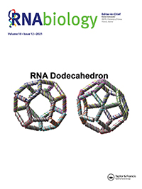 Cover image for RNA Biology, Volume 18, Issue 12, 2021