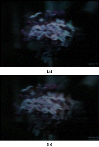 Figure 11. The results of the experiment with stereoscopic images: (a) the left-eye view and (b) the right-eye view.