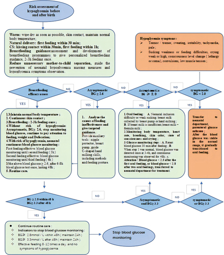 Figure 1 Nursing process of neonatal hypoglycemia.