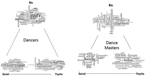Figure 1. Word cloud representations of the data.