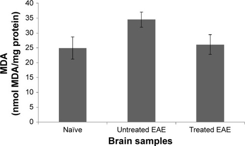 Figure 7 TBARS levels in EAE brains.Notes: Samples from naïve, as well as treated and untreated EAE brains were subjected to the TBARS test.Abbreviations: TBARS, thiobarbituric acid reactive substances; EAE, experimental autoimmune encephalomyelitis; MDA, malonaldehyde.