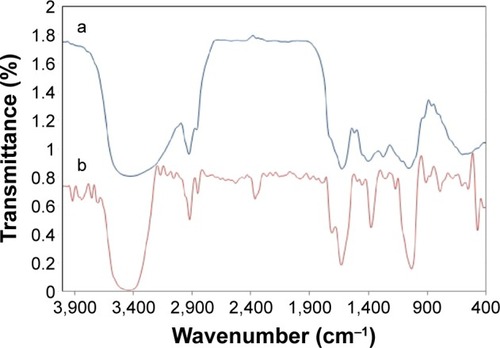 Figure 3 FT-IR spectra of (a) Artemisia marschalliana Sprengel aerial part extract and (b) AgNPs.Abbreviations: FT-IR, Fourier transform infrared; AgNPs, silver nanoparticles.