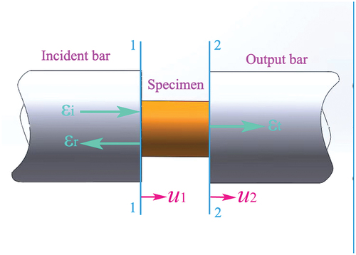 Figure 4. Theory of Split Hopkinson pressure bar experiment.