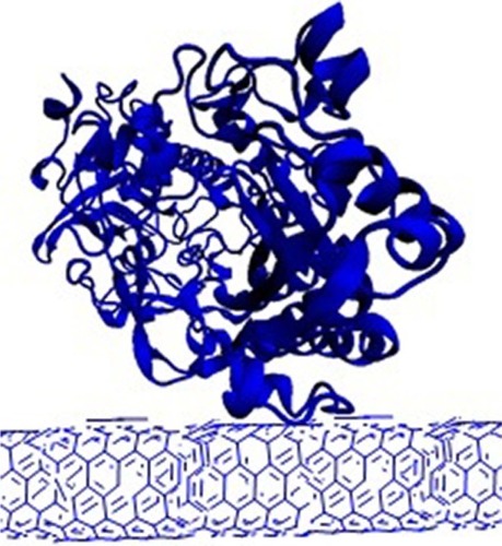 Figure 36 Equilibrated structure of the SWNT–PSE–GOX complex.Citation199Note: Data from Mackay.Citation199Abbreviation: SWNT, single-walled nanotube.