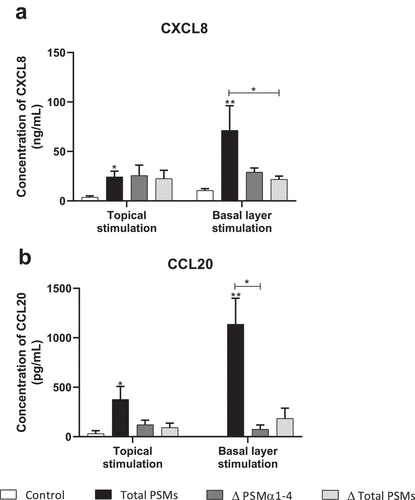 Figure 9. Topical and basal layer stimulations with PSMs from S. aureus of ex vivo human skin explants increased chemokine production. Supernatants from total PSM-producing strain (Total PSMs), PSMα1-4-deficient strain (Δ PSMα1-4) or total PSM-deficient strain (Δ Total PSMs) of S. aureus were added directly to the culture medium (basal layer stimulation) or deposited on a paper disk on the top of explants (topical stimulation) for 24 h. CXCL8 (a) and CCL20 (b) concentrations was evaluated by ELISA assays in culture supernatants. Data are represented as mean + SEM of at least three independent experiments. *p < 0.05, **p < 0.01