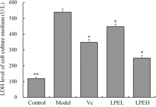 Figure 3 Effect of lemon peel on LDH levels in H9c2 cells with oxidative damage. *There was a significant difference between the experience group and the model group at the level of P < 0.05. **There was a significant difference between the experience group and the model group at the level of P < 0.01. Control: untreated H9c2 cells; model: H2O2-treated H9c2 cells; Vc: H2O2- and 100 μmol/L vitamin C-treated H9c2 cells; LPEL: H2O2- and 50 μmol/L LPE-treated H9c2 cells; LPEL: H2O2- and 100 μmol/L LPE-treated H9c2 cells.