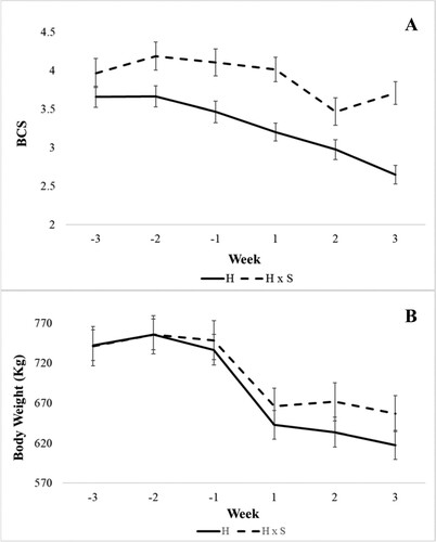 Figure 2. Weekly means of body condition score (BCS) (A) and body weight (B) from three weeks before calving to three weeks after calving for purebred Holstein (H) and crossbred Holstein x Simmental (H x S) cows – results (LSM ± SEM) of variance analysis model 2.