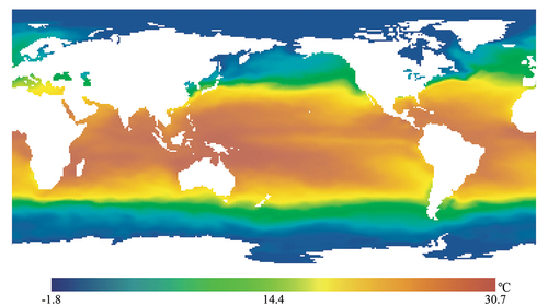 Figure 5. Example output map of SST for January 2021.