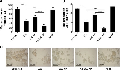 Figure 6 The effect of the nanoparticles on the proportion of CSCs within the Saos-2 cell population, as reflected by the tumorsphere formation ability (A and C) and the proportion of CD133+ cells (B).Notes: The two groups among the five groups are compared by one-way ANOVA with the Newman–Keuls posttest; Data are expressed as mean ± SD (n=3); **P<0.01; ***P<0.001.Abbreviations: Ap-NP, PLGA nanoparticles conjugated with CD133 aptamers; Ap-SAL-NP, salinomycin-loaded PLGA nanoparticles conjugated with CD133 aptamers; CSCs, cancer stem cells; PLGA, poly(lactic-co-glycolic acid); SAL, salinomycin; SAL-NP, salinomycin-loaded PLGA nanoparticles; SD, standard deviation.