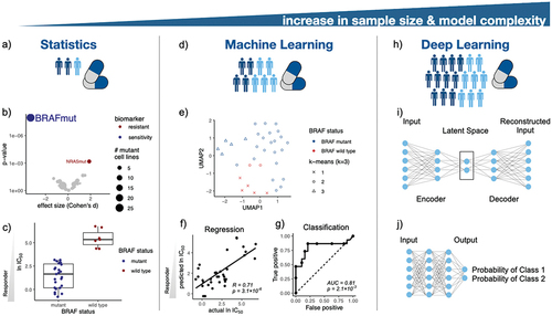 Figure 2. Artificial intelligence in pharmacogenomics and precision medicine. (a) Statistical methods are the foundation of precision medicine, e.g. (b) leveraging ANOVA models to investigate genetic biomarkers in melanoma cell lines treated with the BRAF inhibitor PLX-4720. (c) BRAF mutant cancer cell lines are sensitive to PLX-4270 treatment. (d) ML models enable predictive modeling in pharmacogenomics. (e) Clustering of melanoma cell lines according to their mutational status visualized in the UMAP space. (f) Prediction of IC50 values of cell lines treated with a BRAF inhibitor using a linear regression model. (g) Classification of drug response using a random forest model. (h) DL architectures empower modeling of complex associations in drug discovery. For instance, (i) an autoencoder architecture for creating a two dimensional manifold of melanoma cell lines for consecutive downstream analysis, and (j) a feed-forward neural network architecture for drug response classification.