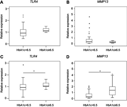 Figure 3 Effect of HbA1c on TLR4 and MMP13 expression in the synovium of male and female patients. (A-B). TLR4 (A) and MMP13 (B) expression in male patients with HbA1c ≥6.5 and HbA1c <6.5. C-D. TLR4 (C) and MMP13 (D) expression in female patients with HbA1c ≥6.5 and HbA1c <6.5. *P<0.05 compared with gender-matched HbA1c<6.5 group.