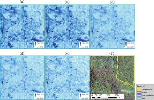 Figure 5. Spatial pattern of sample density (unit: points/m2) in geomorphic highlighted area for (a) 1/2, (b) 1/4, (c) 1/8, (d) 1/16, (e) 1/32 samples and (f) aerial photo image.
