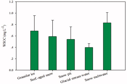 Fig. 2. Average WSOC concentrations in snow, ice, and meltwater from Baishui glacier.