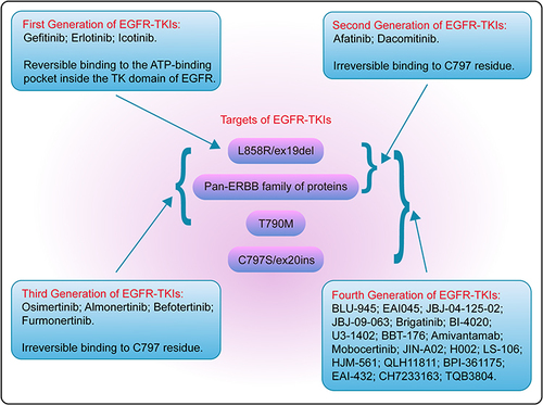 Figure 8 Names, indications and rationale of four Generations of EGFR-TKIs.