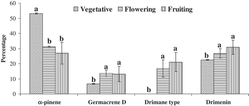 Figure 4. Variation of the percentages of α-pinene, germacrene D, drimane type, and drimenin during the three phenological stages. For each compound, bars with different letters are significantly different (p < 0.05).