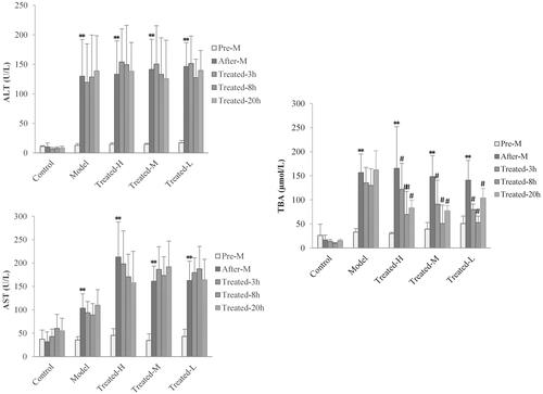 Figure 5. Serum ALT (A), AST (B) and TBA (C) levels in rats at pre-disease modelling (Pre-M), after-disease modelling (After-M), 3 h after drug administration (Treated-3 h), 8 h after drug administration (Treated-8 h) and 20 h after drug administration (Treated-20 h). (n = 6, **p < 0.01 vs. pre-M, #p < 0.05, ##p < 0.01 vs. after-M).