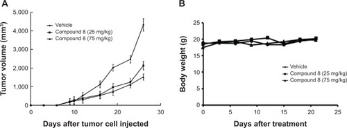 Figure 8 Compound 8 suppressed tumor growth in the subcutaneous A549 tumor model.