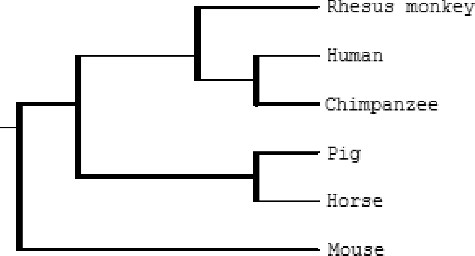 Figure 4. Phylogenetic tree (ClustalW) for six MOSPD2 genes.
