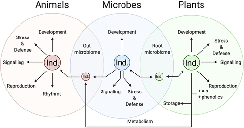 Figure 10. Summary of the interactions between and functions of serotonin in animal, microbial and plant cells and their associated microbiomes.