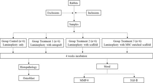 Figure 1 Algorithm of the research steps.