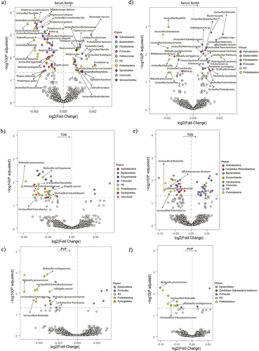 Figure 1. Association of the gut microbiota composition with serum ferritin and executive function in the entire cohort and in men. (a-c) Volcano plots of the gut microbiota associated (p adjusted < 0.05) with serum ferritin (a), TDS (b), and PVF (c) in the entire cohort as calculated by ANCOM-BC from shotgun metagenomic sequencing, adjusting all three models for age, BMI, and sex; and for years of education in TDS, and PVF models. Only the microbial species associated with serum ferritin, TDS (b) and serum ferritin, and PVF (c) are shown. (d-f) Volcano plots of the gut microbiota associated (p adjusted < 0.05) with serum ferritin (d), TDS (e), and PVF (f) in men as calculated by ANCOM-BC from shotgun metagenomic sequencing, adjusting for age and BMI (serum ferritin, TDS, and PVF), and years of education (TDS, and PVF). Only the microbial species associated with serum ferritin and TDS (e) and SF and PVF (f) are shown. The log2 fold change of the association with a unit change in the ANCOM-BC-transformed variable values and the log10 p values adjusted for multiple comparisons using a sequential goodness of fit were plotted for each taxon. Significantly different taxa are colored according to phylum. TDS, total digit span; PVF, phonemic verbal fluency; BMI, body mass index.