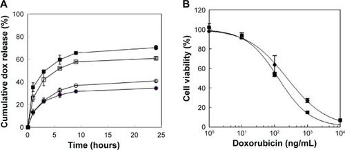 Figure 5 pH dependent drug release and cell viability of dox-loaded PIC (C/A ratio: 8).Notes: (A) Dox release behavior of PIC (C/A ratio: 8) at different pH: 9.0 (●), 7.4 (○), 6.0 (□), and 4.0 (■); (B) cell viability of MCF-7 cells treated with dox-loaded PIC (C/A ratio: 8) at pH 7.4 (●) and pH 6.0 (■) after incubation for 48 hours.Abbreviations: PIC, polyelectrolyte ionomer complex; C/A ratio, ratio of cationic PEI and anionic P(Asp) block; P(Asp), poly(aspartic acid); dox, doxorubicin.