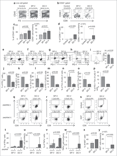 Figure 6. Phenotype and function of vaccine-primed pmel-1 cells in the tumor microenvironment. Mice were treated as described in the legend to Fig. 5b. On day 18, tumor-infiltrating cells were isolated. Tumor-infiltrating leukocytes (a) and pmel-1 cells (b) were detected as CD45+ and CD45+CD8+CD90.1+ cells, respectively. One plot from each group is depicted. Frequencies (left) and absolute numbers (right) of CD45+ (c) and CD45+CD8+CD90.1+ (d) cells. Expression of PD-1 and LAG-3 (e), Tim-3 and LAG-3 (f), PD-1 and Tim-3 (g) and PD-1, Tim-3 and LAG-3 (h) by CD45+CD8+CD90.1+ pmel-1 cells. The levels of PD-1 expression on pmel-1 cells and their mean fluorescent intensities were compared (i). Bar graphs depict frequencies of PD-1+ (j), LAG-3+ (k), Tim-3+ (l), PD-1+LAG-3+ (m), Tim-3+LAG-3+ (n), PD-1+Tim-3+ (o) and PD-1+Tim-3+LAG-3+ (p) cells in CD45+CD8+CD90.1+ pmel-1 cells. IFNγ (q) and TNFα (r) production by CD45+CD8+CD90.1+ pmel- 1 cells stimulated with or without 1 µg/ml hgp100 peptide assessed by flow cytometry. (s) Ki67 expression in CD45+CD8+CD90.1+ cells. Frequencies (t, v, x) and absolute cell numbers (u, w, y) of IFNγ+(t, u), TNFα+ (v, x), Ki67+ (x, y) cells depicted as bar graphs. Data are representative of 3 experiments with 6 mice per group.