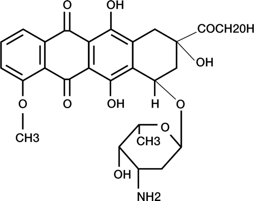 Figure 1.  Doxorubicin.